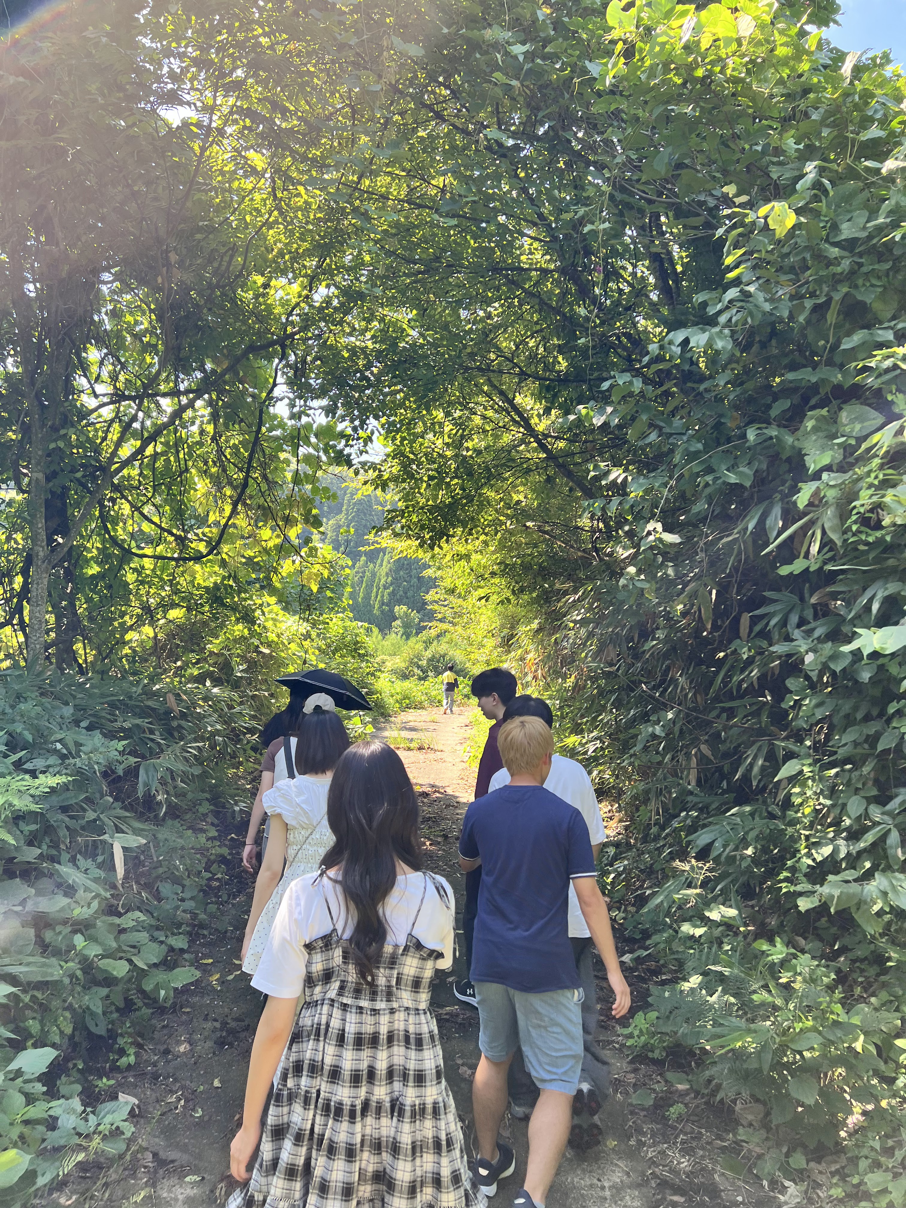 分校を求めて